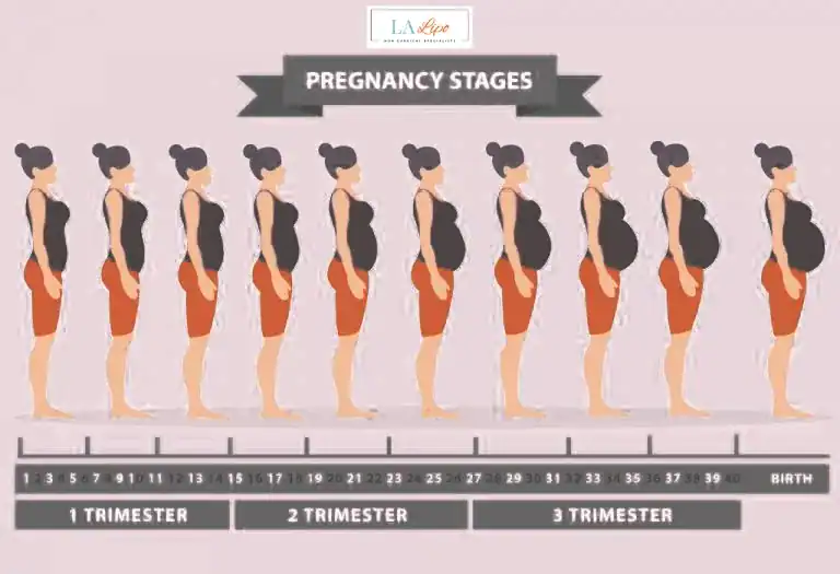 First Trimester (Weeks 1–12): Early Changes You Might Not Notice Greater London (Hillingdon)